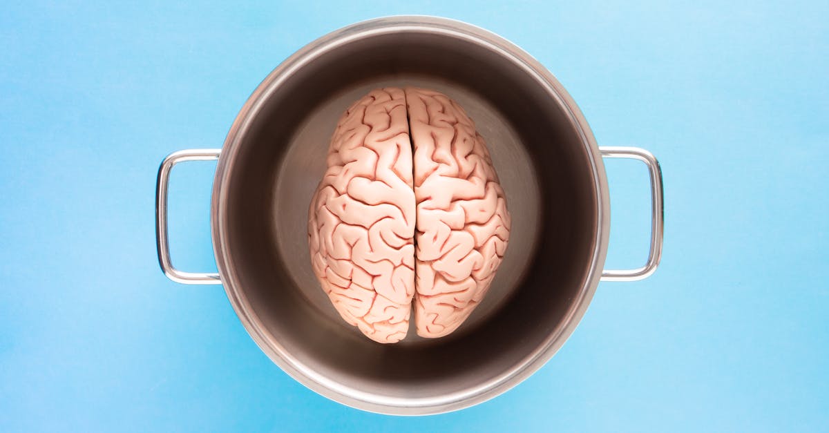 AI in dating: how artificial intelligence helps you find the right partner