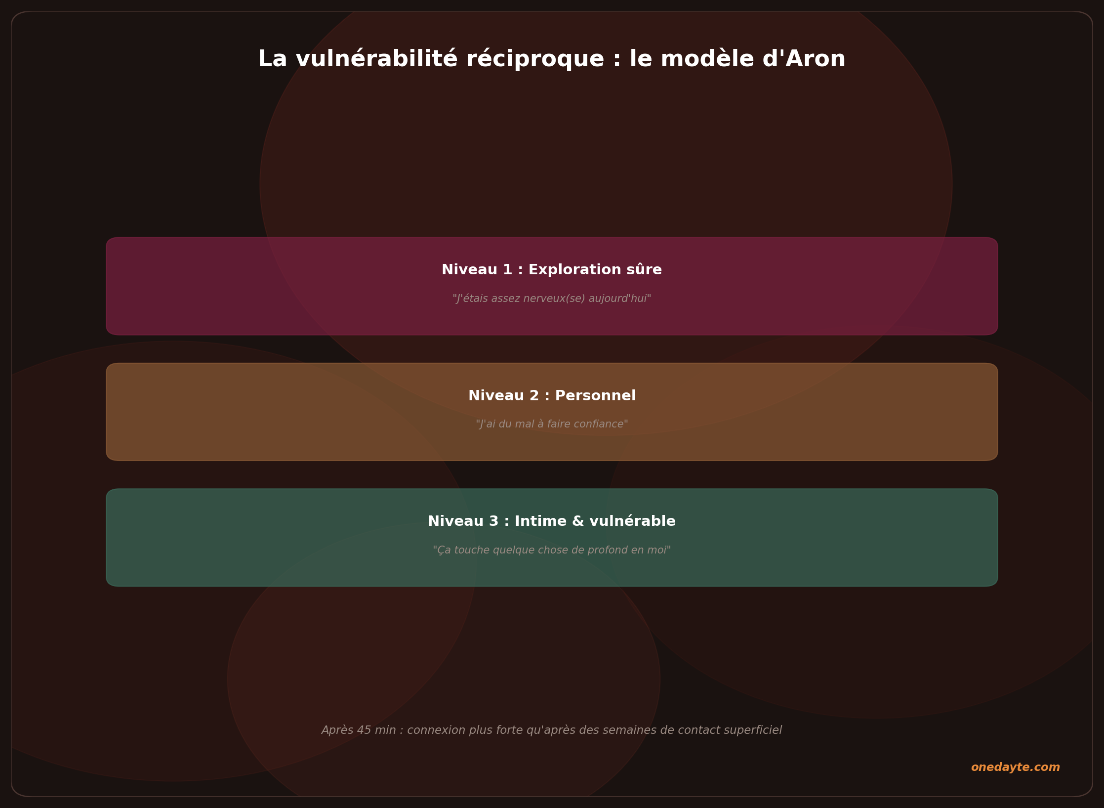 Infographie : Vulnerabilite - Onedayte