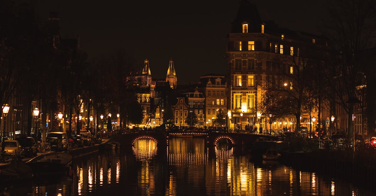 Singles in the Netherlands: facts and figures on online dating